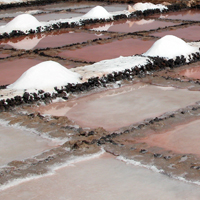 Las Salinas de Janubio