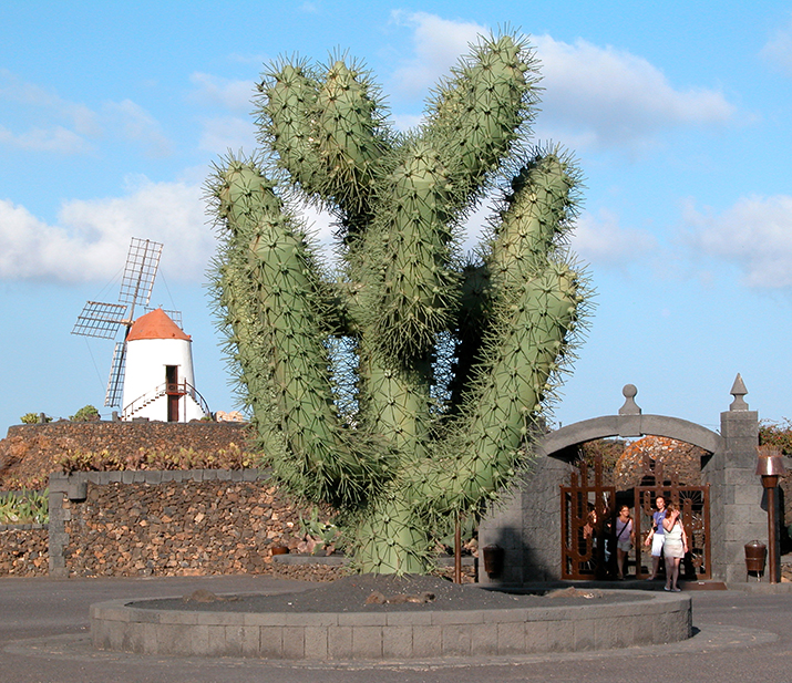 Jardín de Cactus, Eingang